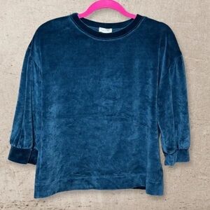 Garnet Hill Blue Velvet Blouse
